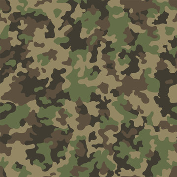 Abstract military or hunting camouflage background. Seamless pattern. Brown, green, color.