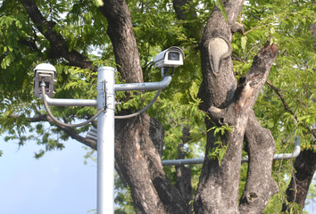 CCTV camera watching for security 24 hours in park