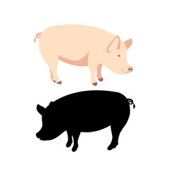  pig vector illustration Flat style black silhouette