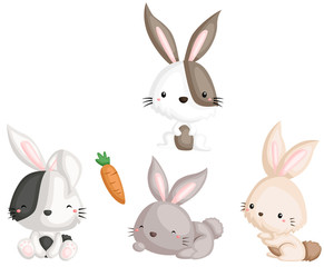 Obraz premium Rabbit