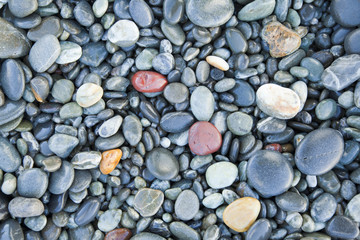 Pebbles Birdlings Flat Beach New Zealand