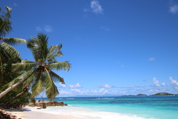 Beach Grand Anse, Anse Kerlan, Praslin Island, Seychelles, Indian Ocean, Africa / The beautiful white sandy beach is bordered by large red granite rocks.