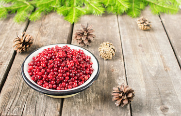 Ripe berry cranberries served in a metal bowl