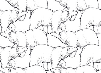 seamlees pattern with hand drawn walking polar bear on white background