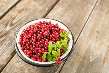Ripe berry cranberries served in a metal bowl