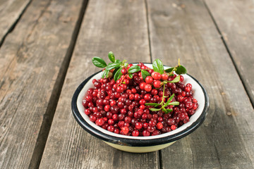Ripe berry cranberries served in a metal bowl