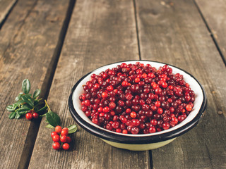 Ripe berry cranberries served in a metal bowl