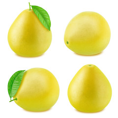 Set of pomelo isolated on a white background.