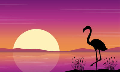 At lake scene with flamingo silhouettes