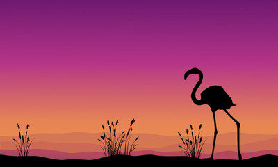 Collection stock flamingo silhouette scenery © kongvector