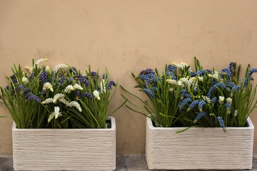 decorative vases with plastic flowers