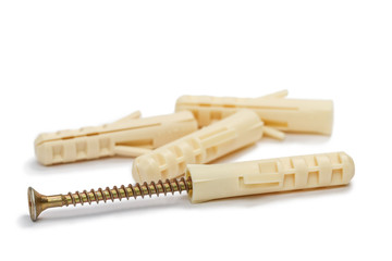 Screw and plastic dowels