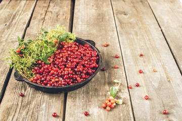 Ripe berry cranberries served in a metal pot