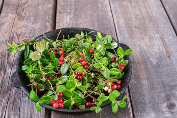 Sprigs of ripe berries cranberries in a metal pot