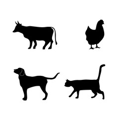 Pet icons vector