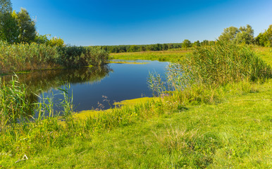 Fototapeta na wymiar Pictorial summer landscape with small river Merla, Poltavskaya oblast, Ukraine