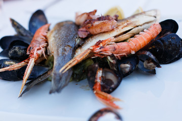 Mediterrane frische Fischplatte in Kroatien