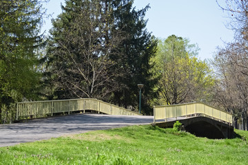 Bridge in the city park
