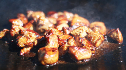 Nature meat fry pan