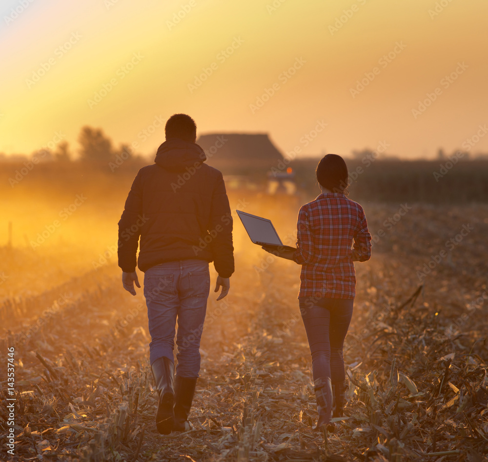 Wall mural farmers walking on field