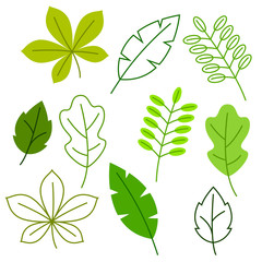 Set of stylized green leaves. Spring or summer foliage
