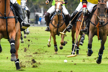 Horses running in a polo match.