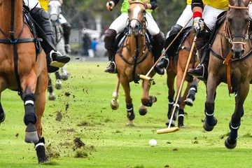 Fotobehang Horses running in a polo match. © Hola53