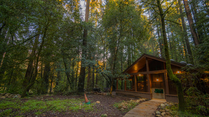 House in the fairy green forest. The sun's rays fall through the branches. Redwood national and state parks. California, USA