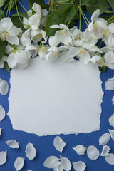 Greeting card with branches of apple blossom on a blue background