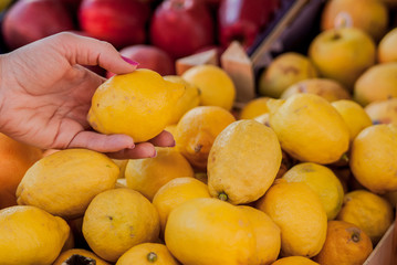 Pretty female customer buying lemons on fruit market. woman choosing lemons.. woman choosing lemons. woman choosing fresh lemons for measuring in grocery store