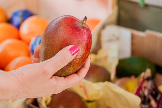 Happy Young Woman Customer Choosing Ripe Mango Fruit On Market. Woman Picking Up, Choosing Fruits, Mango