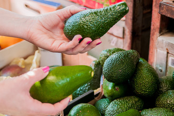 Cropped image of a customer choosing avocados in the supermarket. close up of woman hand holding avocado in market