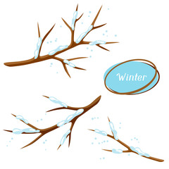 Winter set with branches of tree and snow. Seasonal illustration