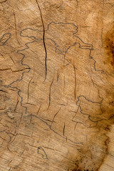 Holz Textur