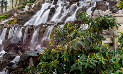 Waterfall and plants.