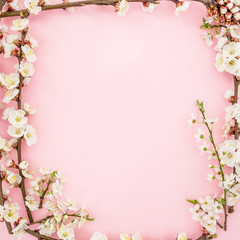 Frame made of apricot white flowers on pink background. Flat lay, top view. Spring time background.