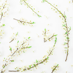 Pattern made of spring flowers on white background. Flat lay, top view. Spring pattern.