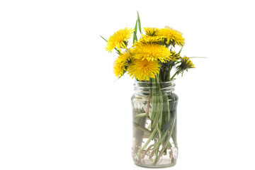 Simple bouquet of yellow spring dandelions © oksanastepanova