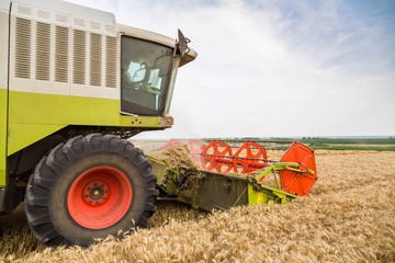 Combine harvester in action on wheat field. Harvesting is the process of gathering a ripe crop from...