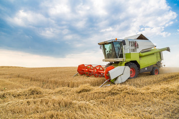 Combine harvester in action on wheat field. Harvesting is the process of gathering a ripe crop from...