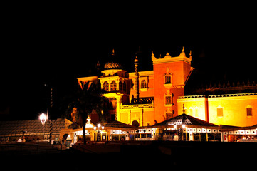 ファンタジアショー