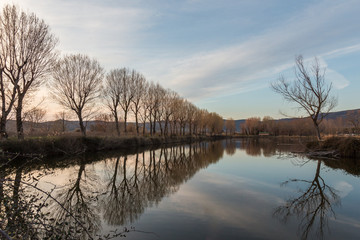 A long line of tree reflecting on water, creating a 