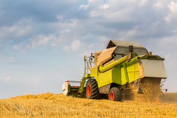 Combine harvester in action on wheat field. Harvesting is the process of gathering a ripe crop from the fields.