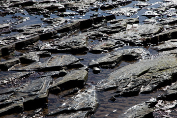 Coastal Rock Formations Seawater and Sand
