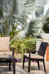 Beautiful empty wicker chair next to a table outdoors with a view of large palm leaves on a background. Outdoor cafe tables