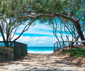 Het uitzicht op de oceaan via de strandingang met houten hek en bomenboog in Gold Coast, Australië