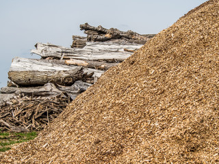 Rindenmulch
