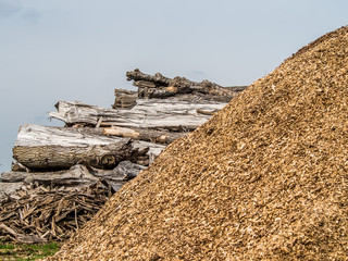 Rindenmulch