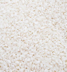 rice background