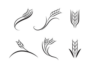 Fototapeta na wymiar graphic wheat, vector